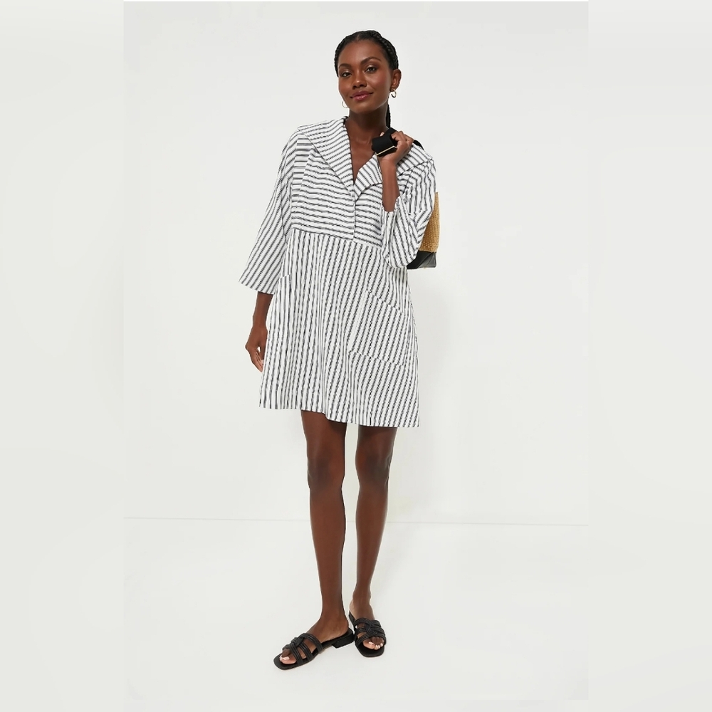 Tuckernuck Black and White Striped Mini Dress
